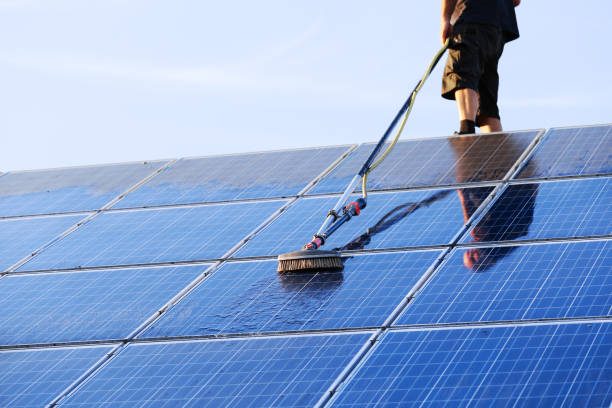 Solar panel cleaning with soft brush and pure water